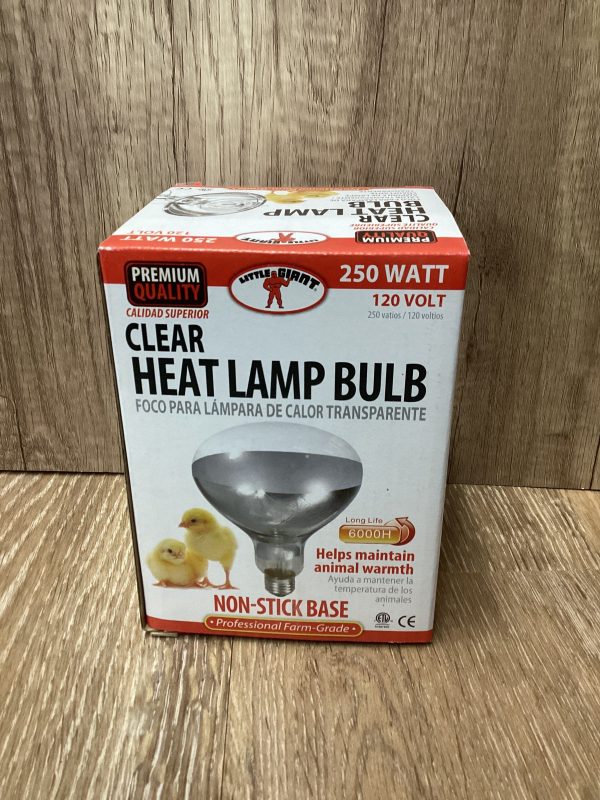 Clear Infrared Bulb 250 watt Online