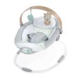 Cozy Spot™ Soothing Bouncer Cheap