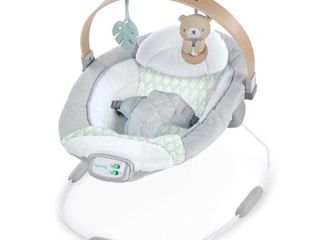 Cozy Spot™ Soothing Bouncer Cheap