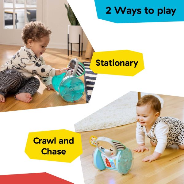 Chase & Tap Earl™ Interactive Crawling Toy on Sale