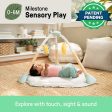 Tummy to Toes™ 6-in-1 Milestones Center Discount