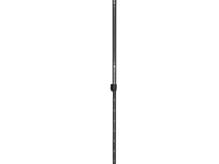 24 Hour Rental: Black Diamond Explorer 2 Trekking Poles Online