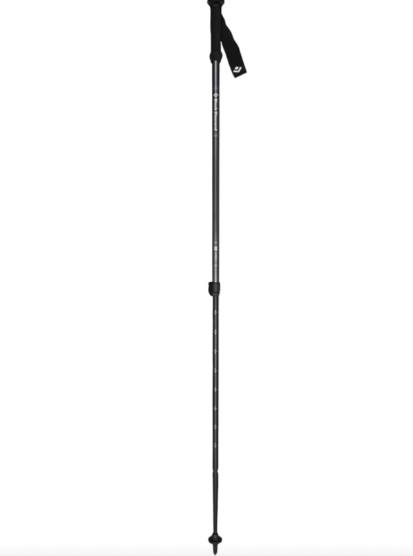 24 Hour Rental: Black Diamond Explorer 2 Trekking Poles Online