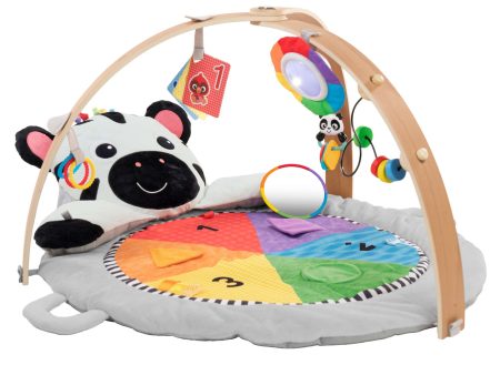 Zen s Activity Milestones™ Plush Gym Online