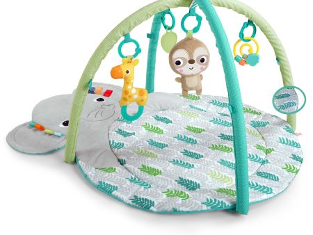 Hug ‘n Cuddle™ Activity Gym Online now