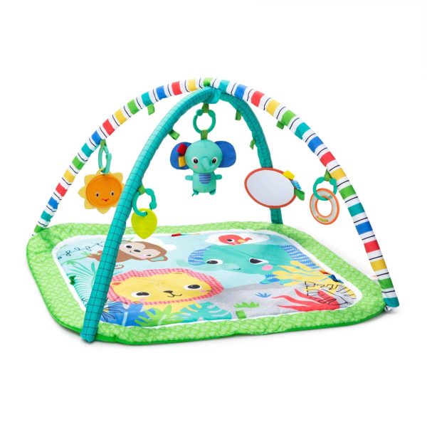 Wild Wiggles™ FoldAway Activity Gym™ Supply