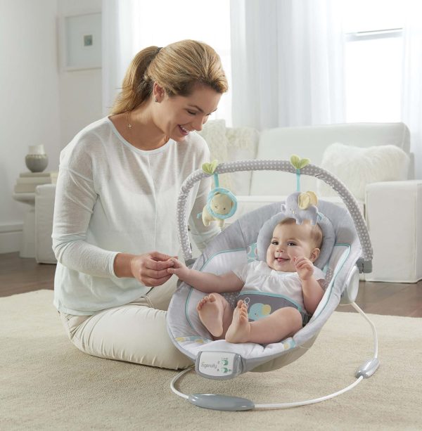 Morrison™ - Soothing Bouncer Online Hot Sale