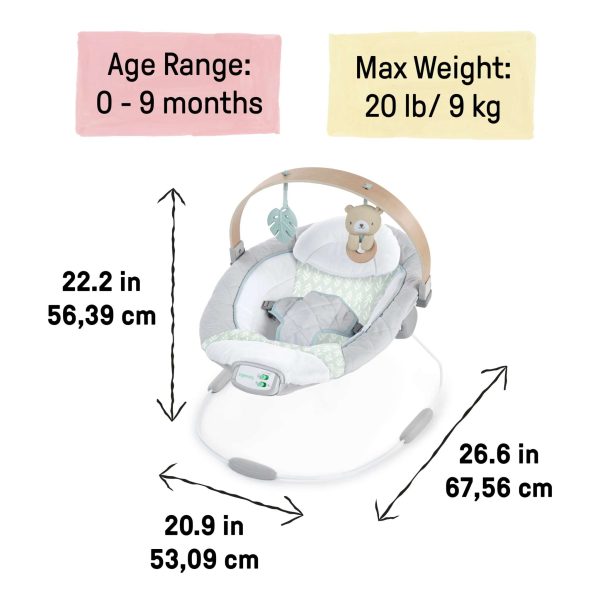 Cozy Spot™ Soothing Bouncer Cheap