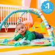 Wild Wiggles™ FoldAway Activity Gym™ Supply