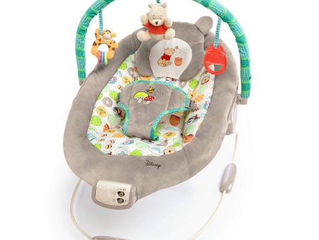 WINNIE THE POOH Dots & Hunny Pots Bouncer For Sale