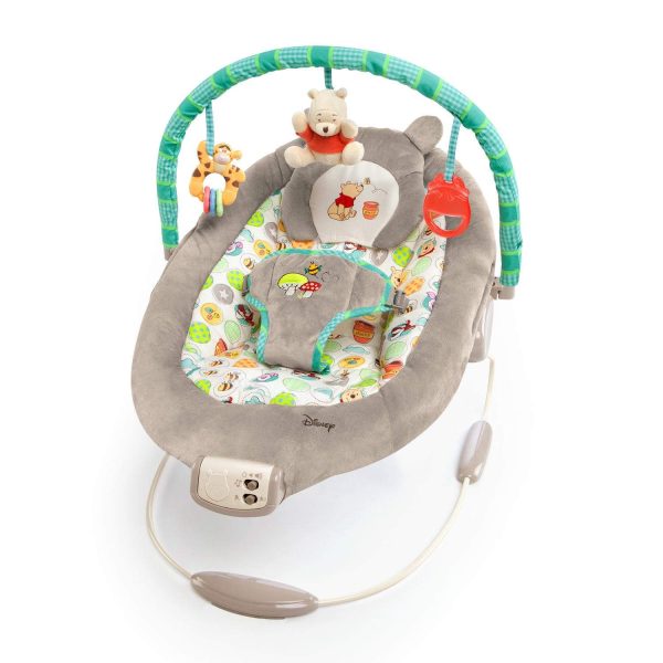 WINNIE THE POOH Dots & Hunny Pots Bouncer For Sale