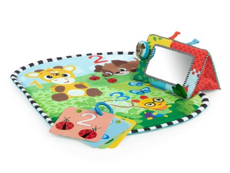 Discovery Garden™ Tummy Time Mat & Mirror For Sale