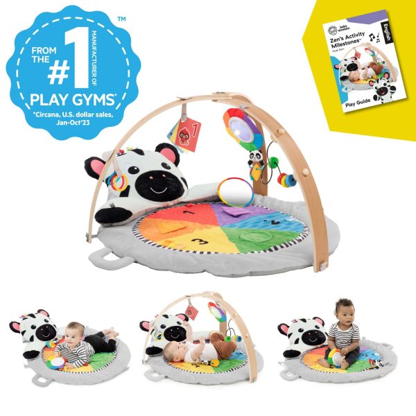 Zen s Activity Milestones™ Plush Gym Online