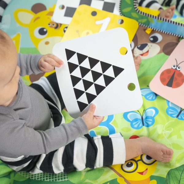 Discovery Garden™ Tummy Time Mat & Mirror For Sale